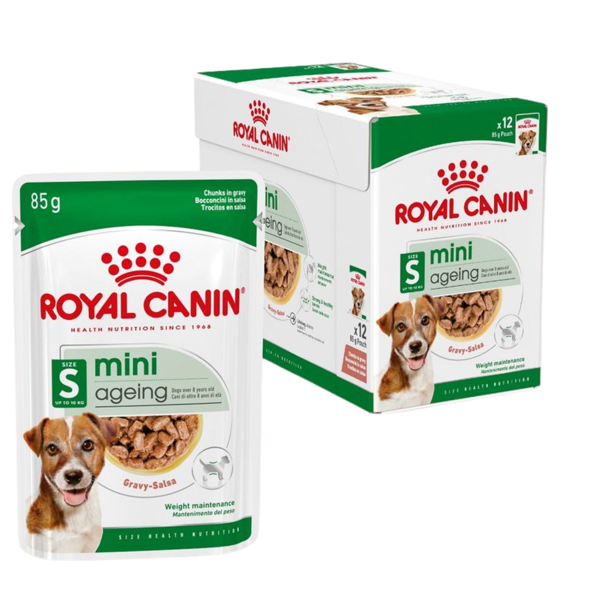 Royal Canin Mini Ageing Gravy Wet Dog Food