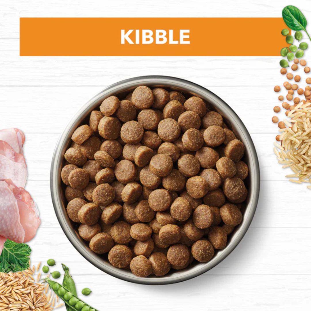 Ivory Coat Holistic Nutrition Adult All Breeds Dry Dog Food Chicken & Brown Rice