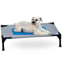K&H Coolin' Pet Cot, 80x62cm, a grey mesh elevated cot with a blue water-filled cooling pad and a schnauzer