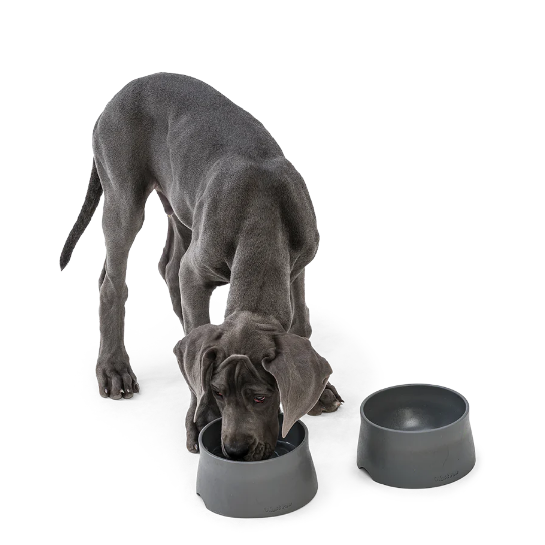 West Paw No-Slip Dog Bowls