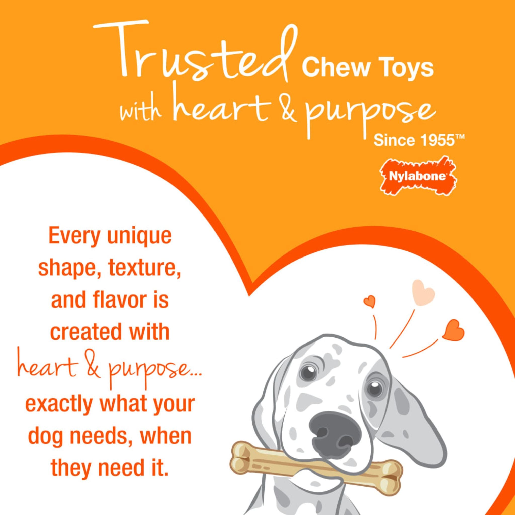 Nylabone Double Action Bone Dog Chew Toy Bacon Flavor
