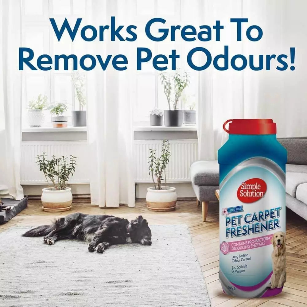 Vacuuming the carpet freshener powder back up after it has been left to work