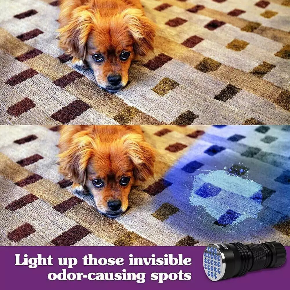 The UV Spot Spotter torch showing its ultraviolet LED head