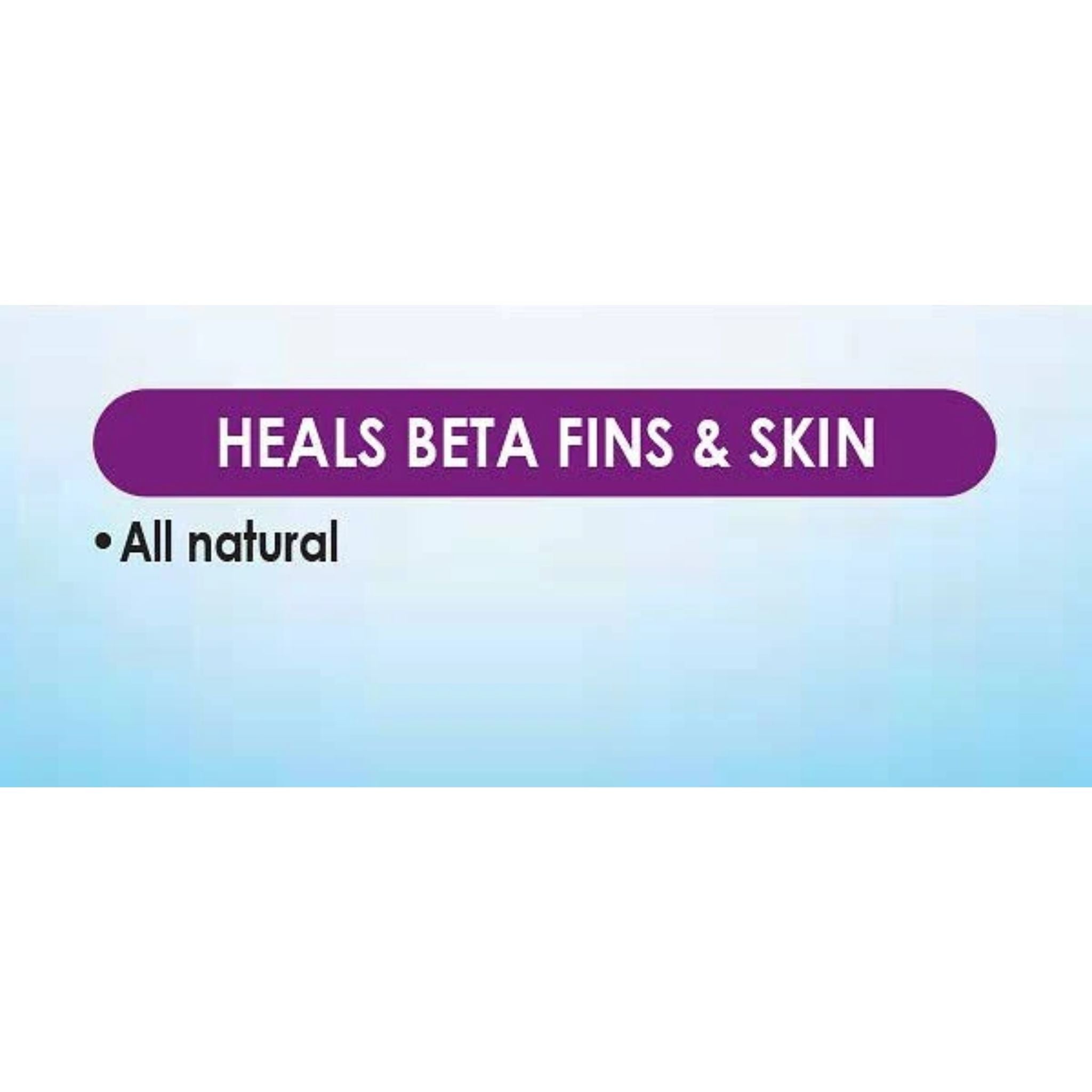 API Bettafix