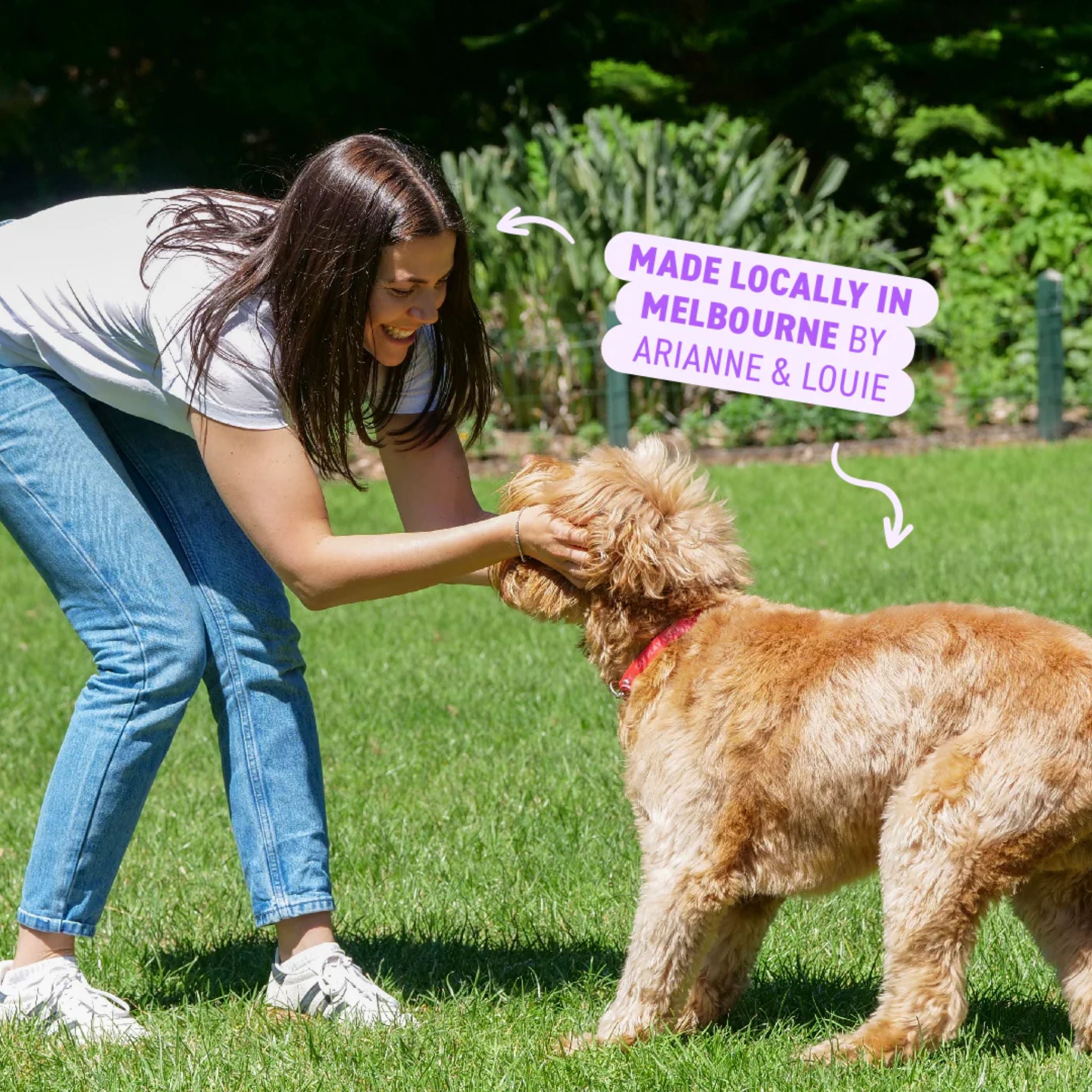 Bell and Bone Dental Sticks for Senior Dogs - Chicken, Mint and Ginger