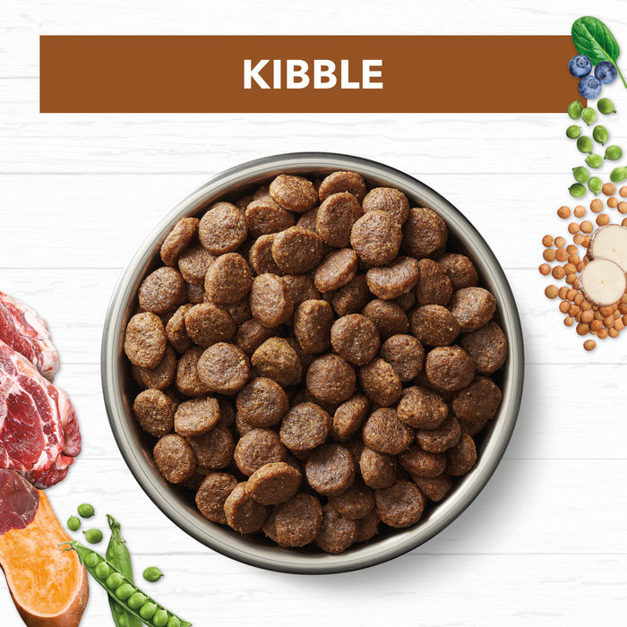 Ivory Coat Grain Free Adult All Breeds Dry Dog Food Lamb & Kangaroo | PeekAPaw Pet Supplies