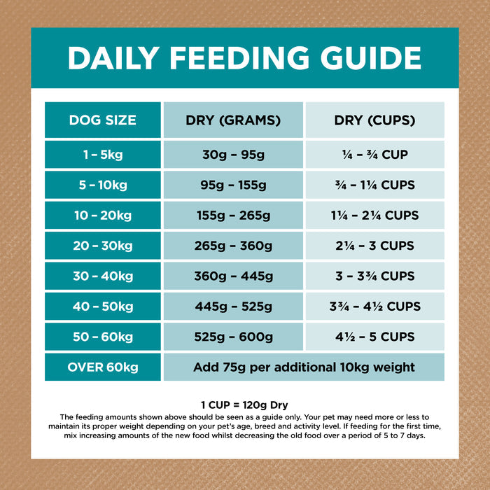 Ivory Coat Grain Free Adult All Breeds Dry Dog Food Salmon & Ocean Fish | PeekAPaw Pet Supplies