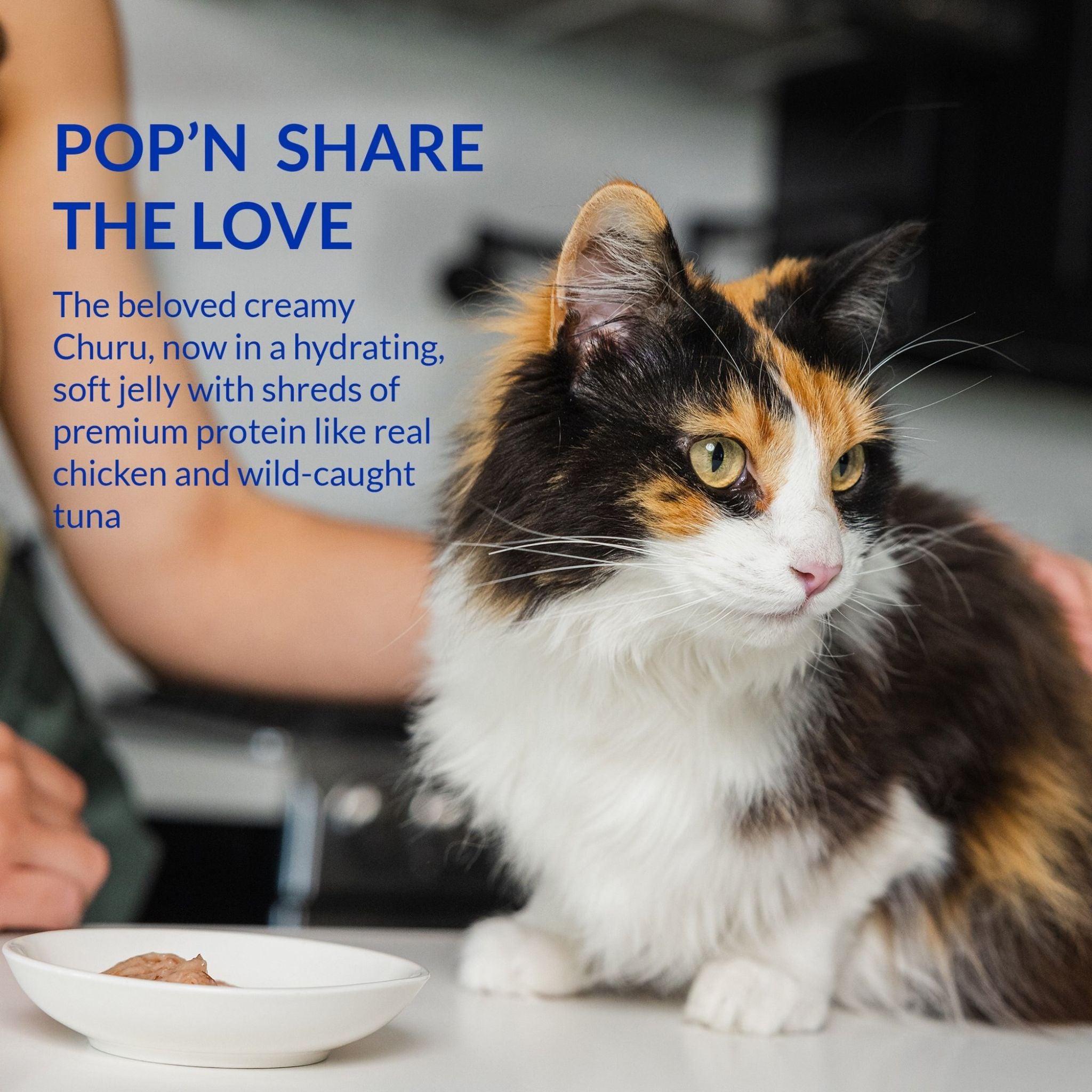 Inaba Cat Treat Churu Pop N Serve Chicken Variety