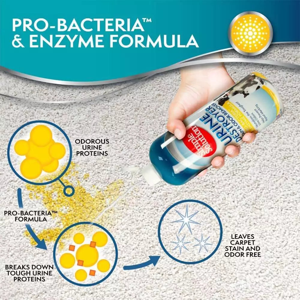 Saturating a set-in urine stain with Urine Destroyer poured from the 1 litre bottle