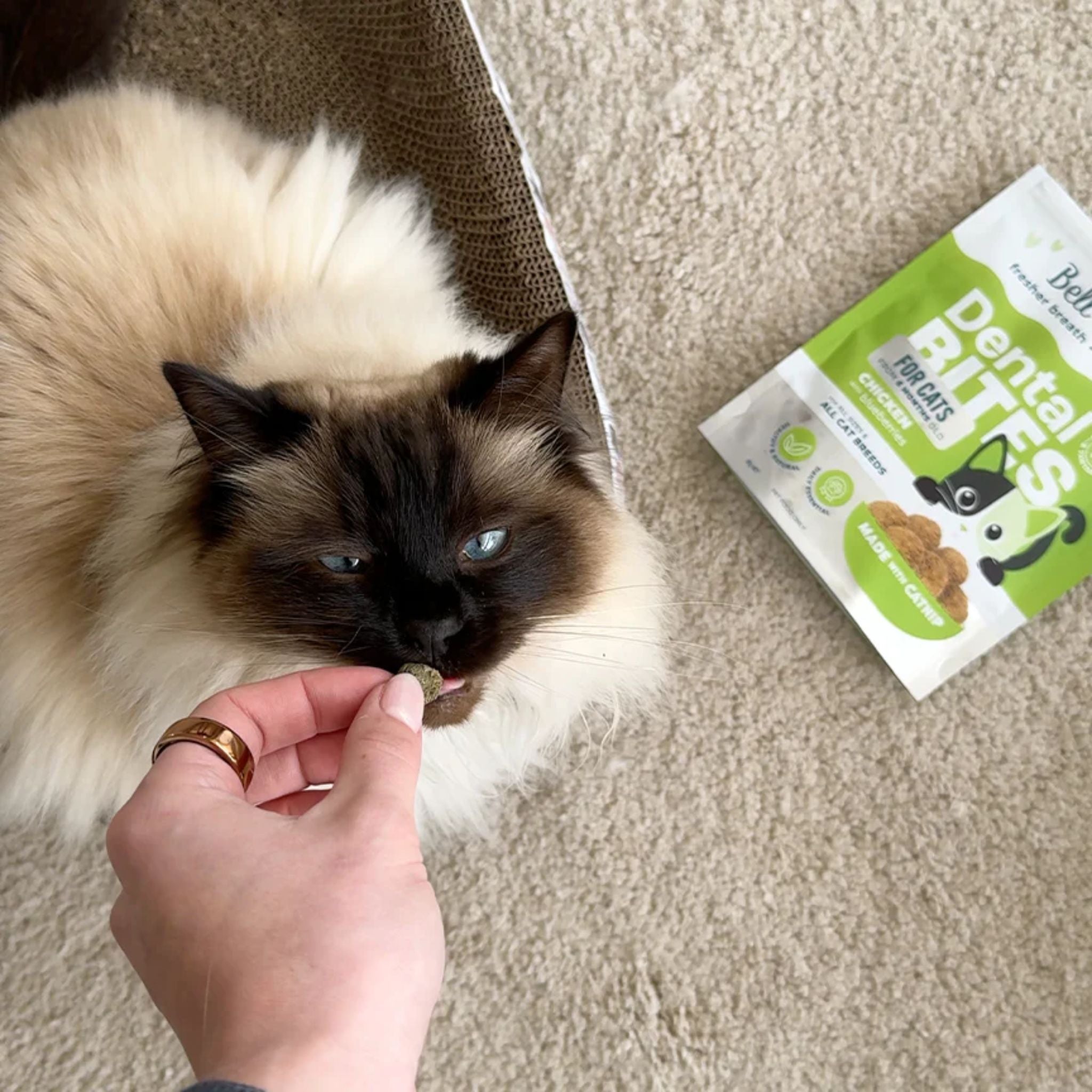 Bell and Bone Adult Cat Dental Bites - Chicken with Blueberry