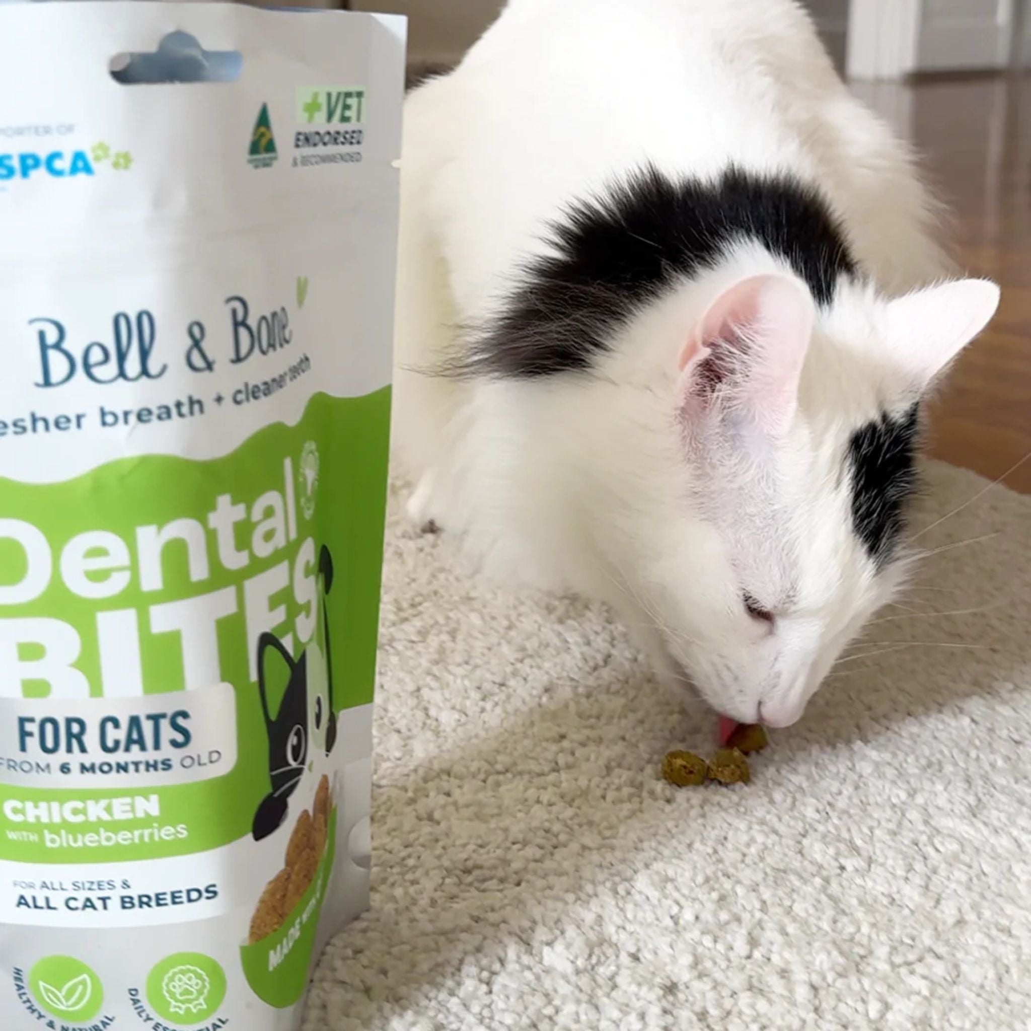 Bell and Bone Adult Cat Dental Bites - Chicken with Blueberry