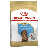 Royal Canin Dachshund Puppy dry dog food, front of pack