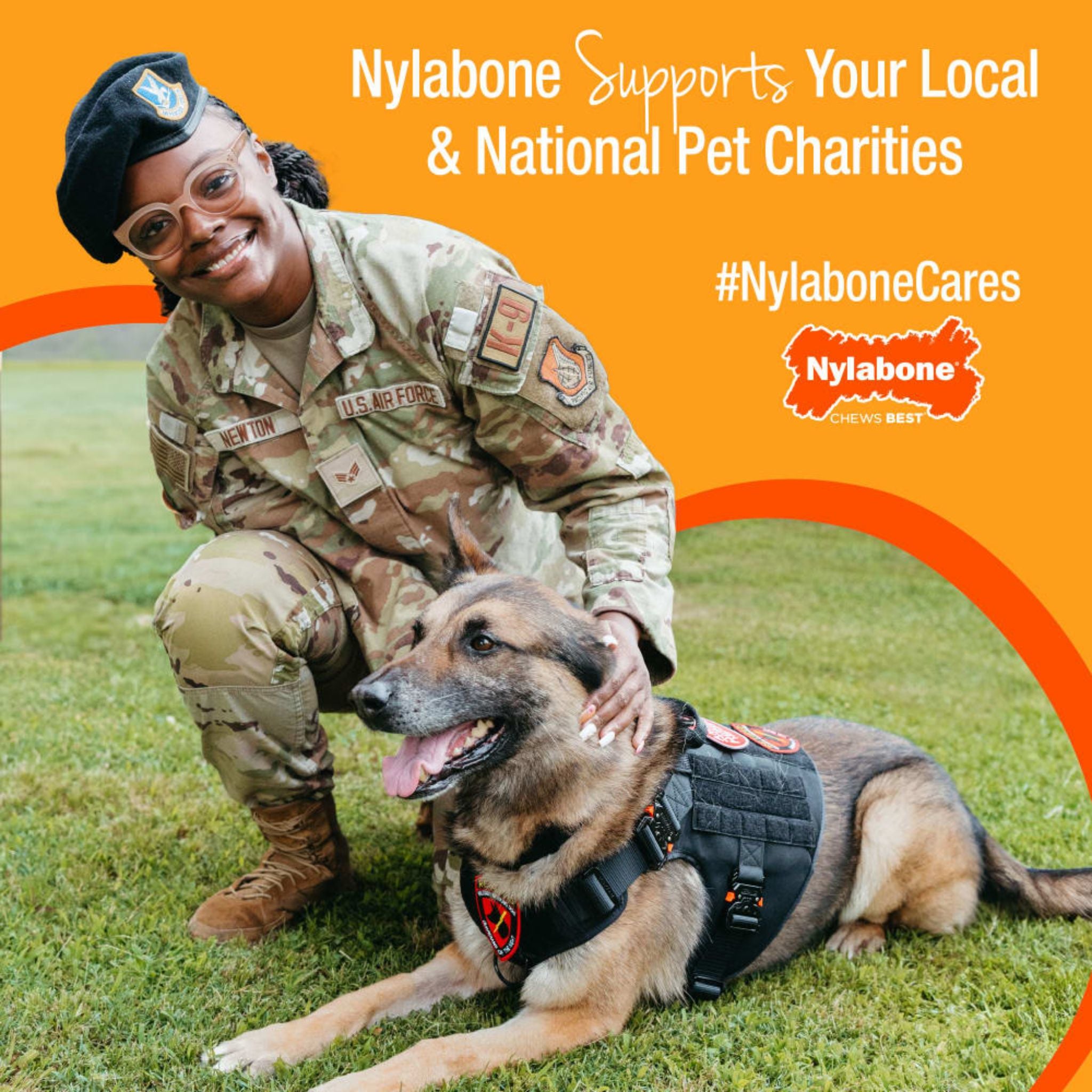 Nylabone Puppies Teething Chew Classic Bone