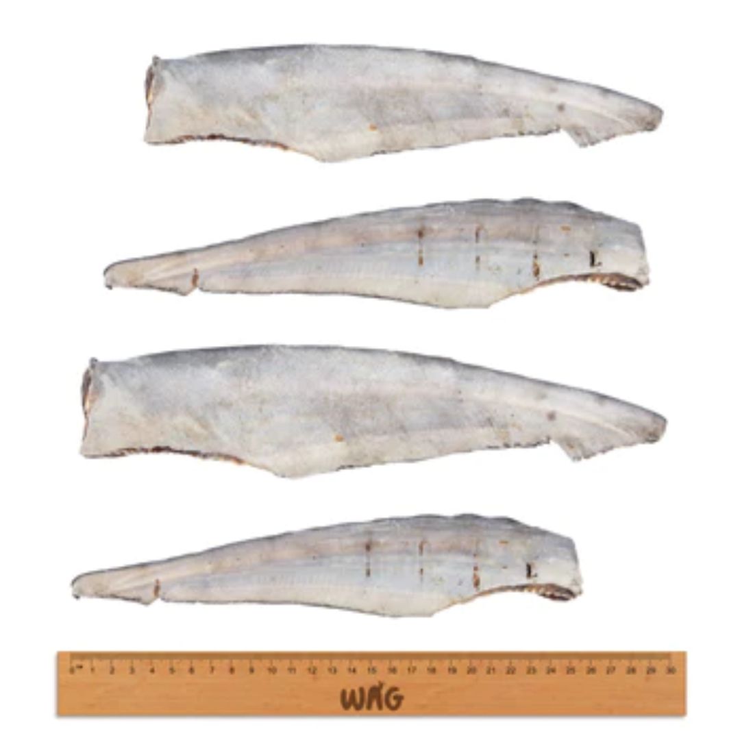 WAG Shark Tail Chew