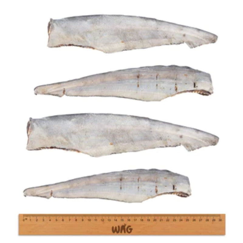 WAG Shark Tail Chew