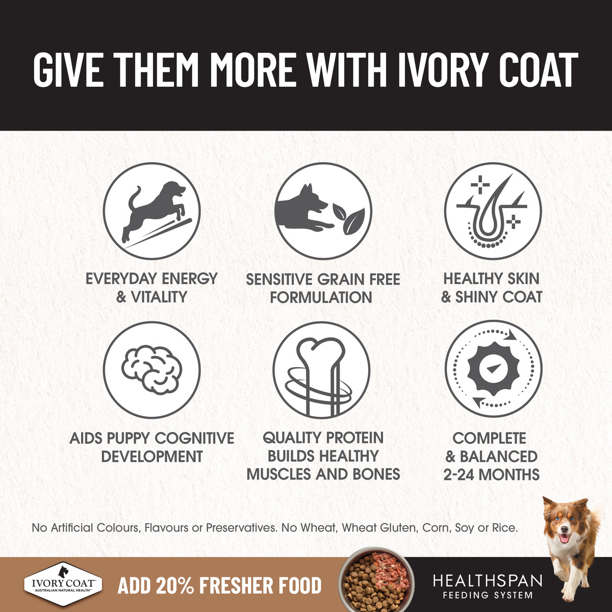 Ivory Coat puppy benefits: grain free, skin and coat, cognitive development, healthy muscles and bones
