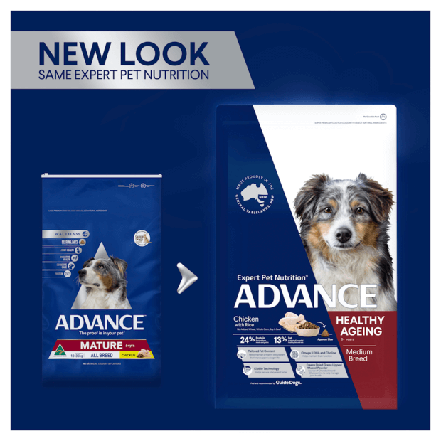 ADVANCE Medium Healthy Ageing Dry Dog Food Chicken with Rice