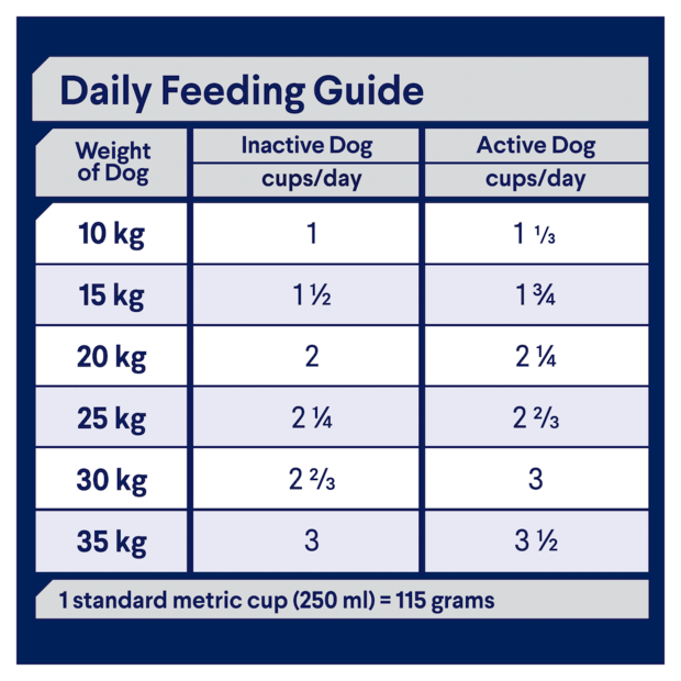 ADVANCE Medium Healthy Ageing Dry Dog Food Chicken with Rice