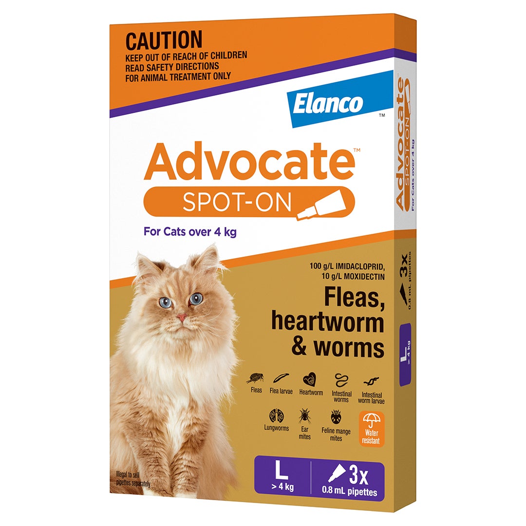 Advocate Spot-On for cats over 4kg, new Elanco carton, 3 x 0.8mL pipettes