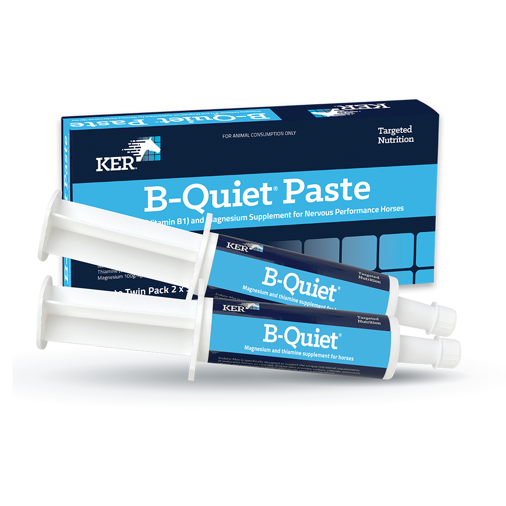 KER B-Quiet Paste twin pack, two 30g oral syringes for horses