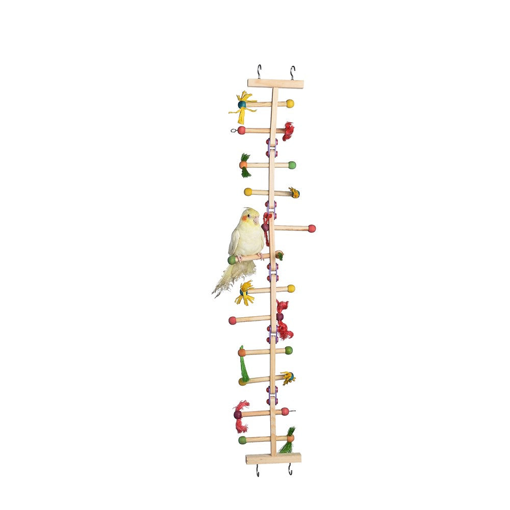 Nature Island Forage N Play Ladder bird toy – full length with a cockatiel perched