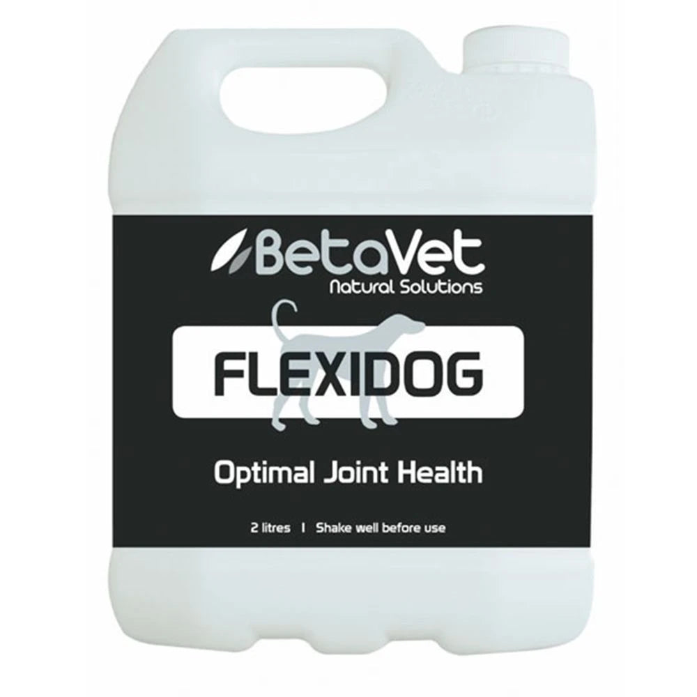 BetaVet FlexiDog optimal joint health in the 2 litre white handled container
