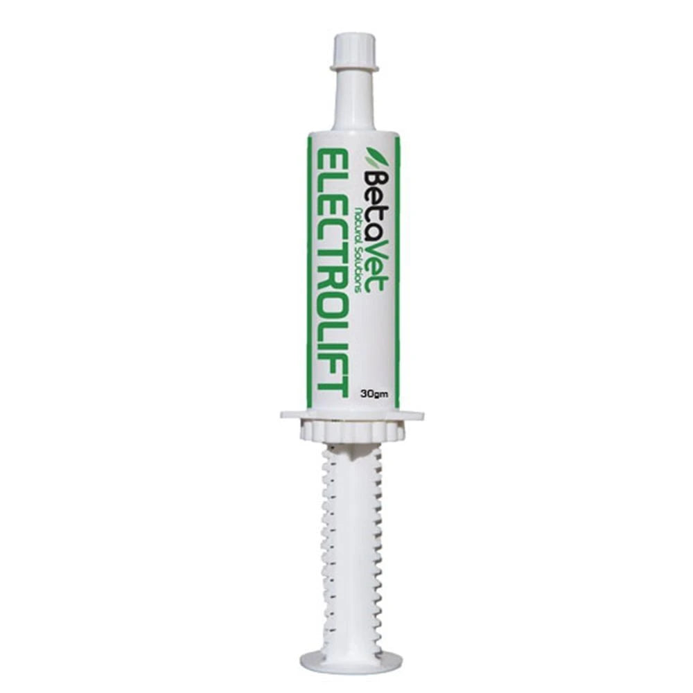 BetaVet Electrolift in a 30g oral paste syringe with a green and white label