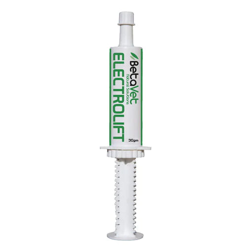 BetaVet Natural Solutions Horse Electrolift - 30g | PeekAPaw Pet Supplies