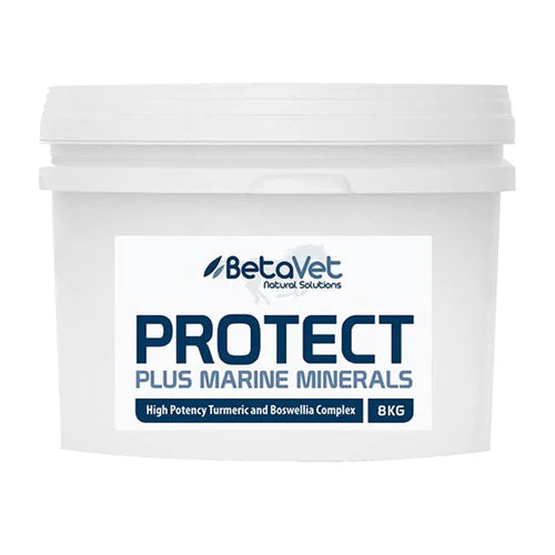 BetaVet Natural Solutions Horse Protect Optimal Soundness - 8kg | PeekAPaw Pet Supplies