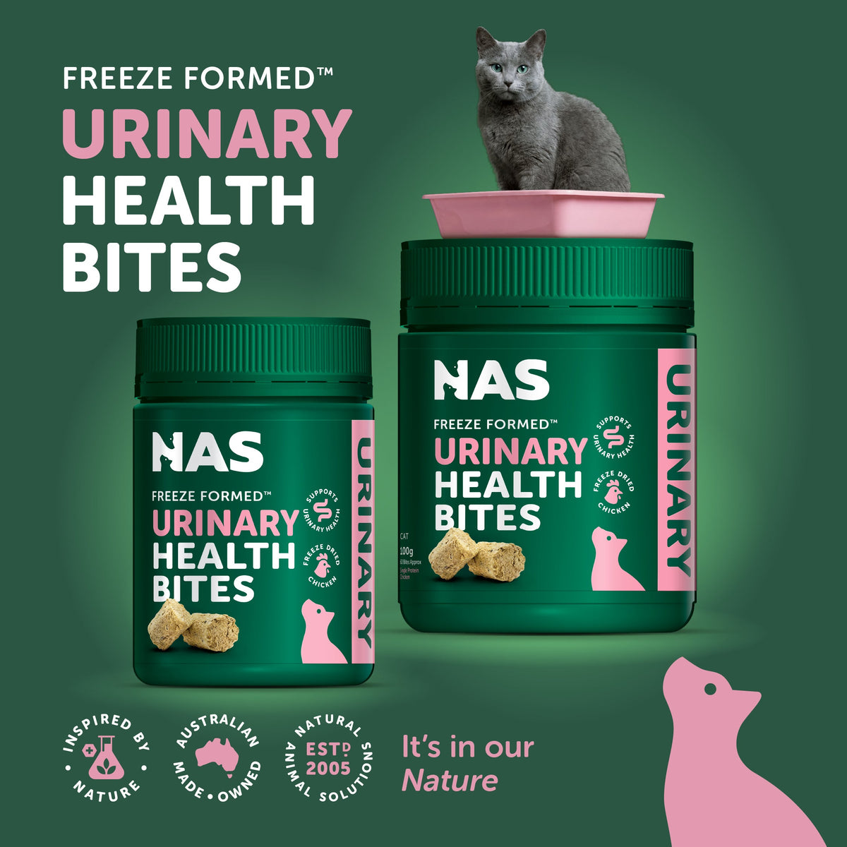 Natural Animal Solutions Freeze Formed Cat Urinary Health Bites — brand infographic 1