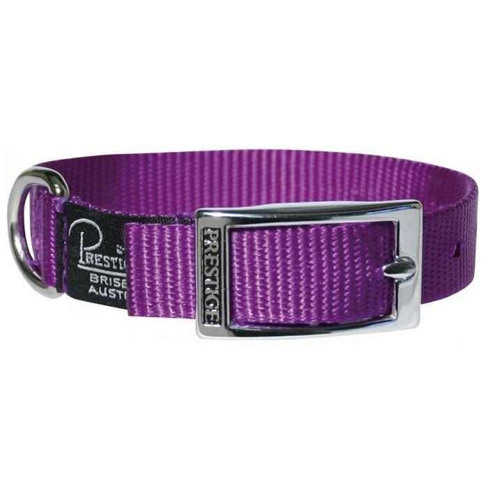 Prestige Pet Single Layer Nylon Dog Collar - 41cm Purple