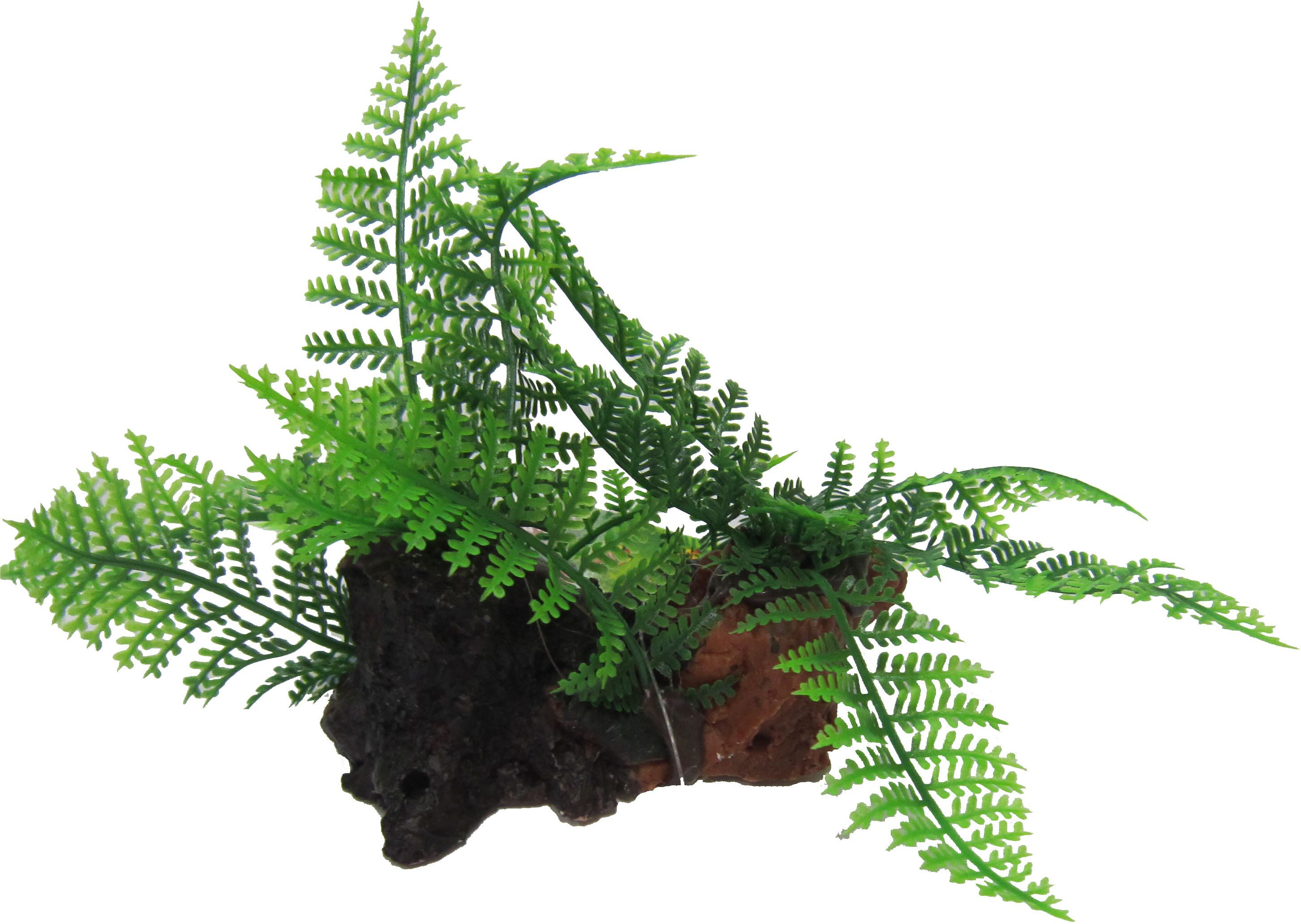 Amazon Jungle Twin Ferns on Log artificial aquarium plant, 12cm
