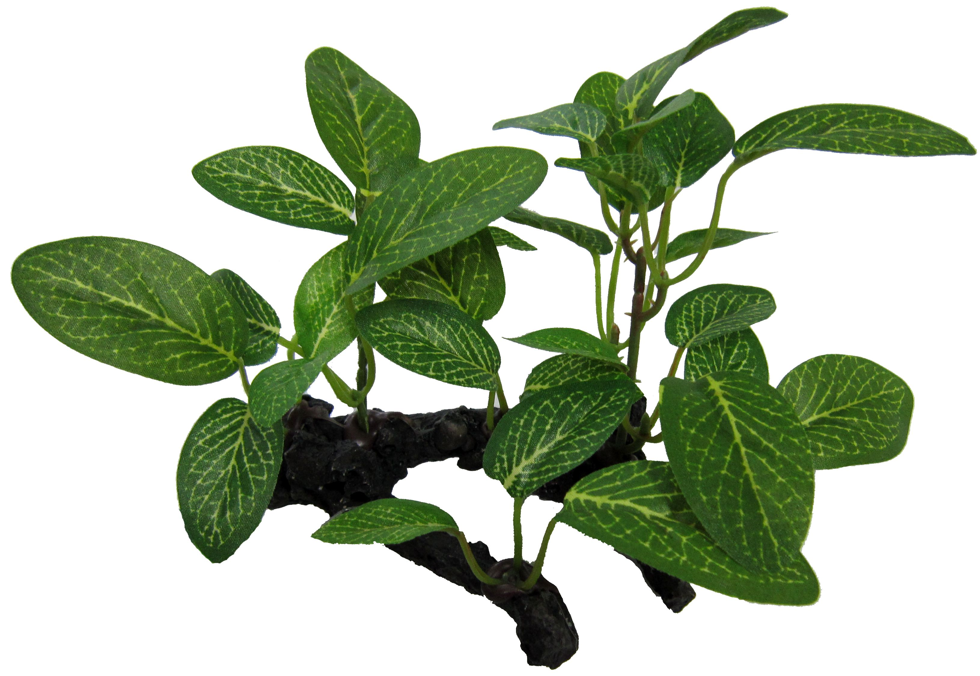 Amazon Jungle African Shade Leaf on Log artificial aquarium plant, 10cm