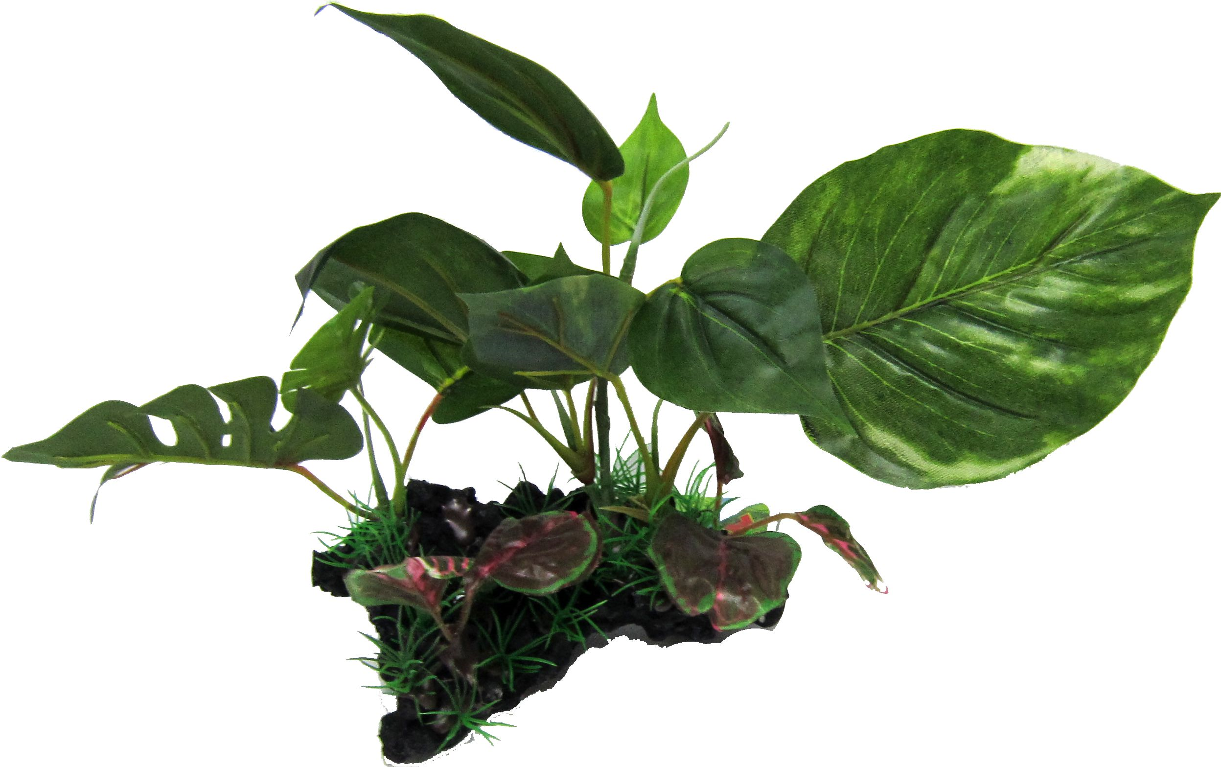 Amazon Jungle Giant Monsterio on Log artificial aquarium plant, 15cm