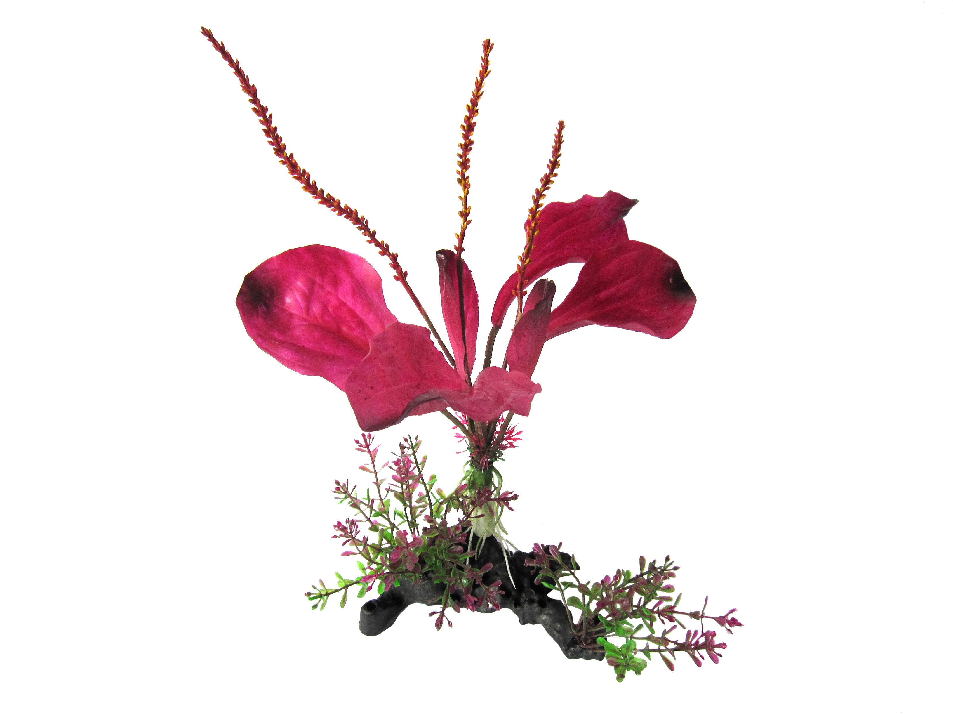 Amazon Jungle Rainbow Spade Plant on Branch artificial aquarium plant, 25cm