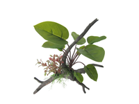 Amazon Jungle Anubius Span Plant on Branch artificial aquarium plant, 26cm