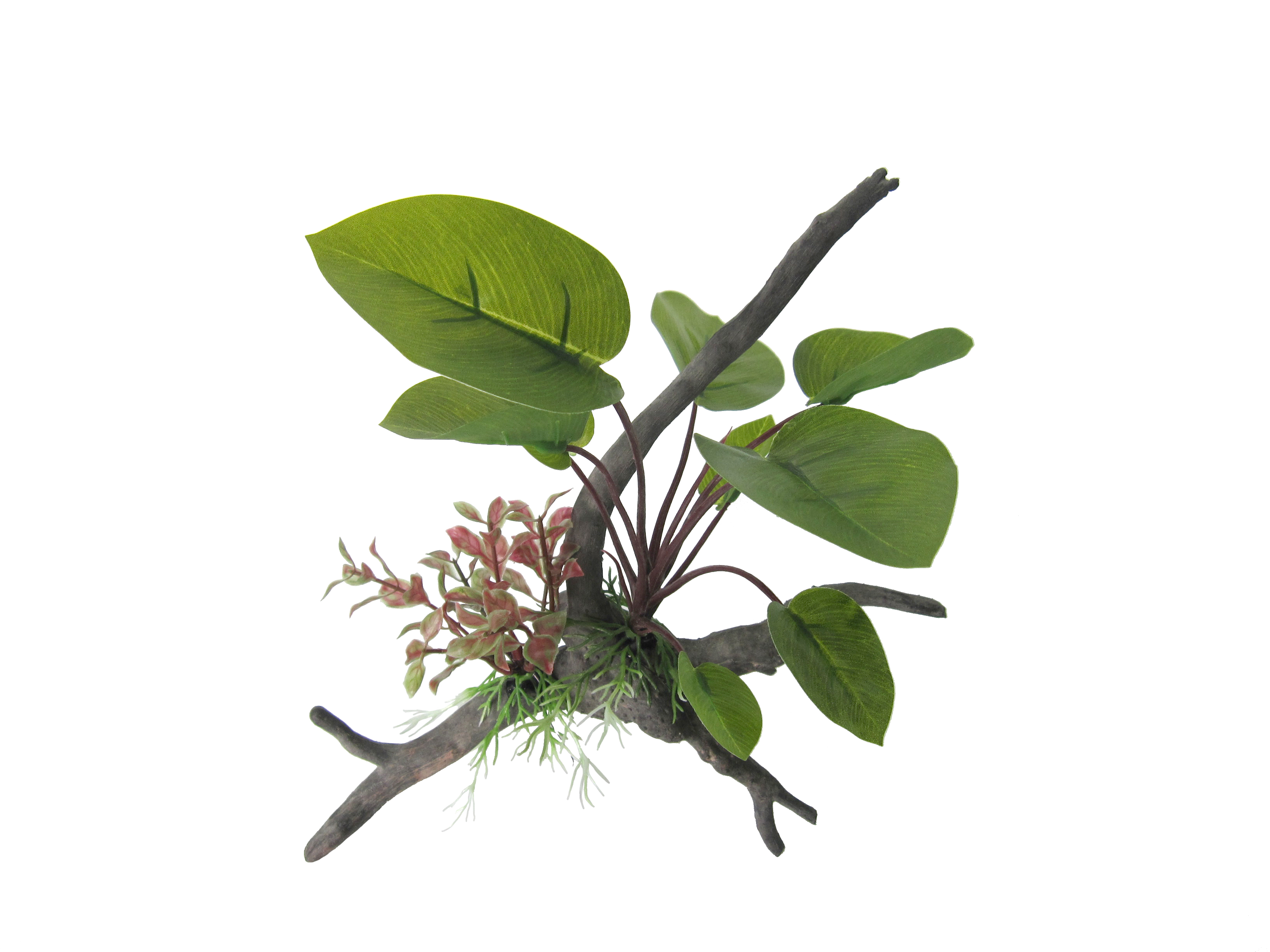Amazon Jungle Anubius Span Plant on Branch artificial aquarium plant, 26cm