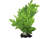 Amazon Jungle Upright Fern artificial aquarium plant, 35cm
