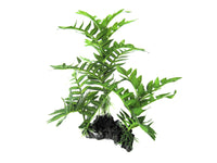 Amazon Jungle Coarse Fern artificial aquarium plant, 30cm