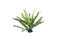 Amazon Jungle Boston Fern Upright artificial aquarium plant, 30cm