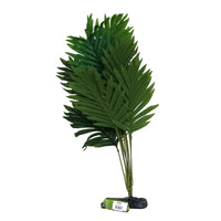 Amazon Jungle Butterfly Palm artificial aquarium plant, 50cm