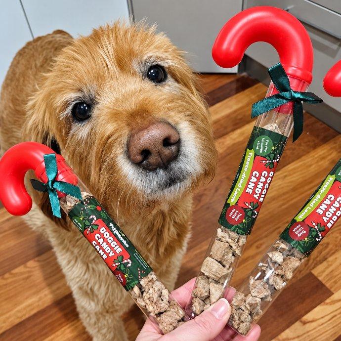 Dog holding a Pet Botanica candy cane treat tube as a Christmas present