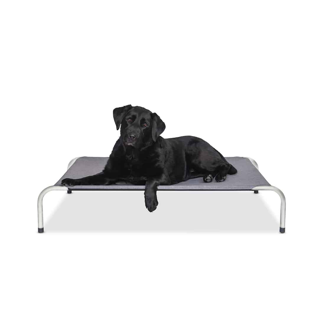 Front view of the Superior Pet Goods Canvas/Twill raised dog bed