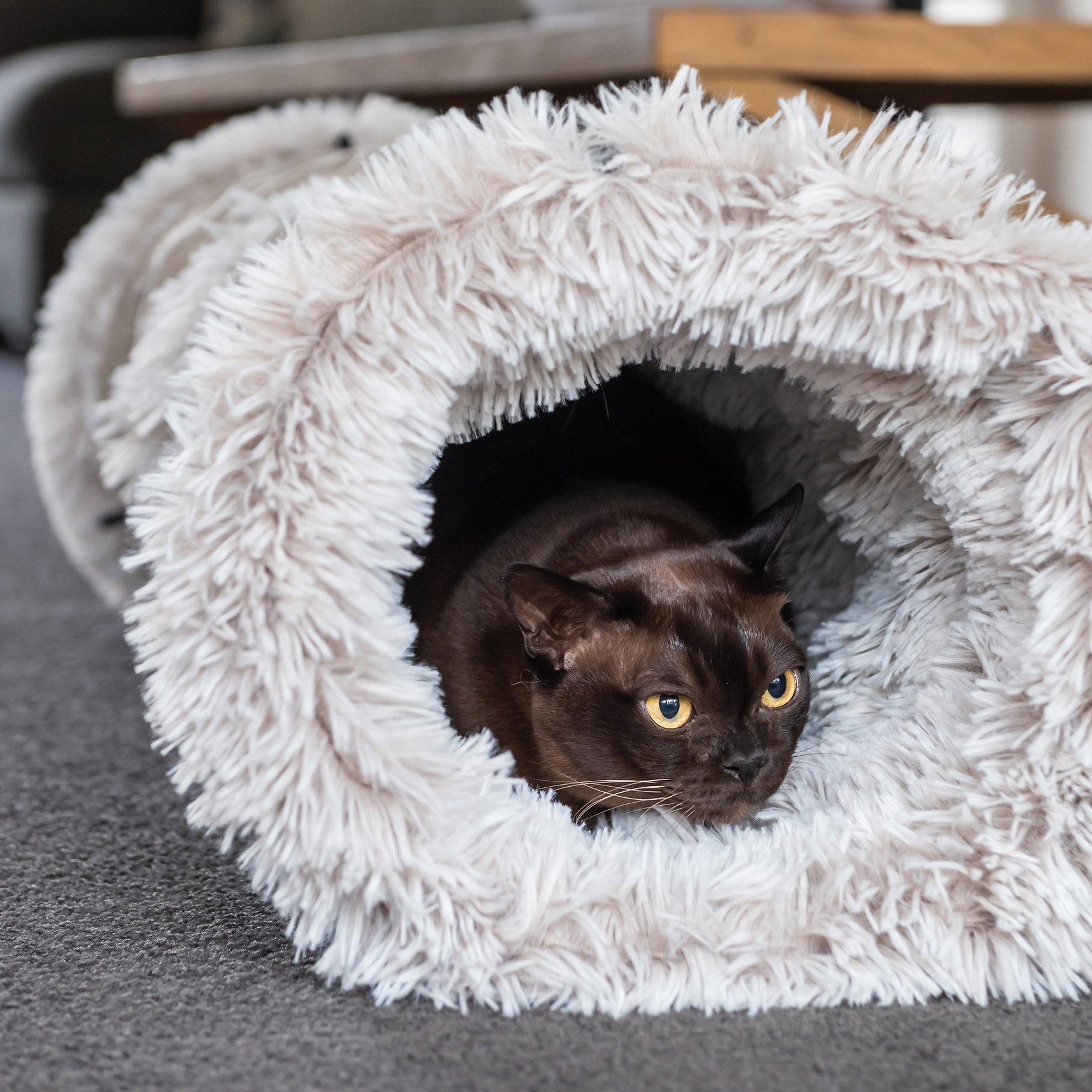 Superior Pet Goods Cat Tunnel in Aspen Faux Fur