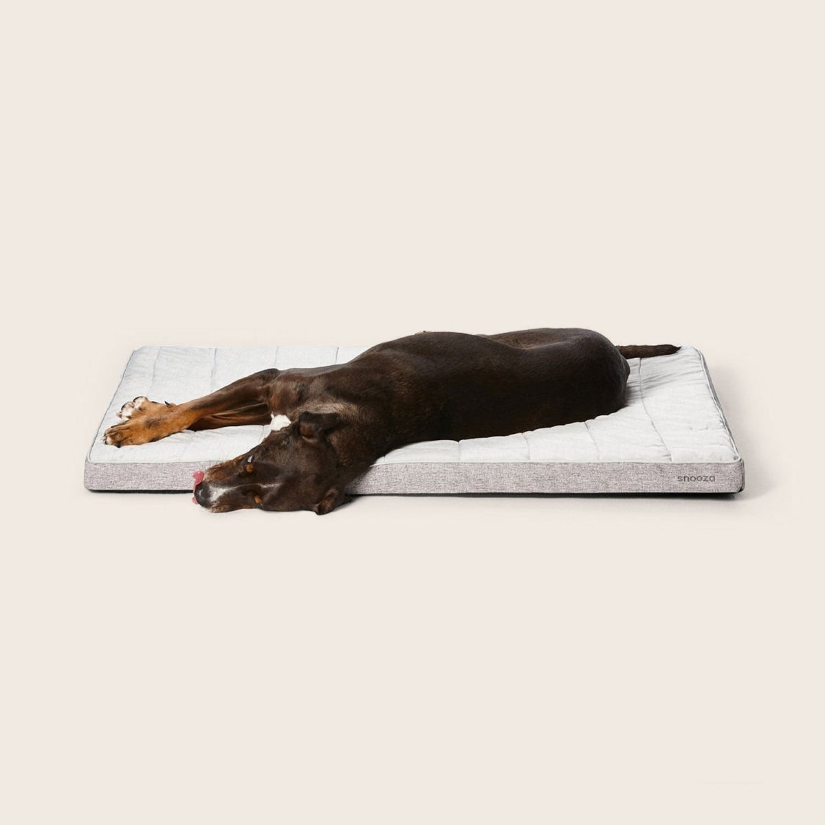 Snooza Cooling Comfort Orthobed in Powder Grey, low-profile orthopaedic mat