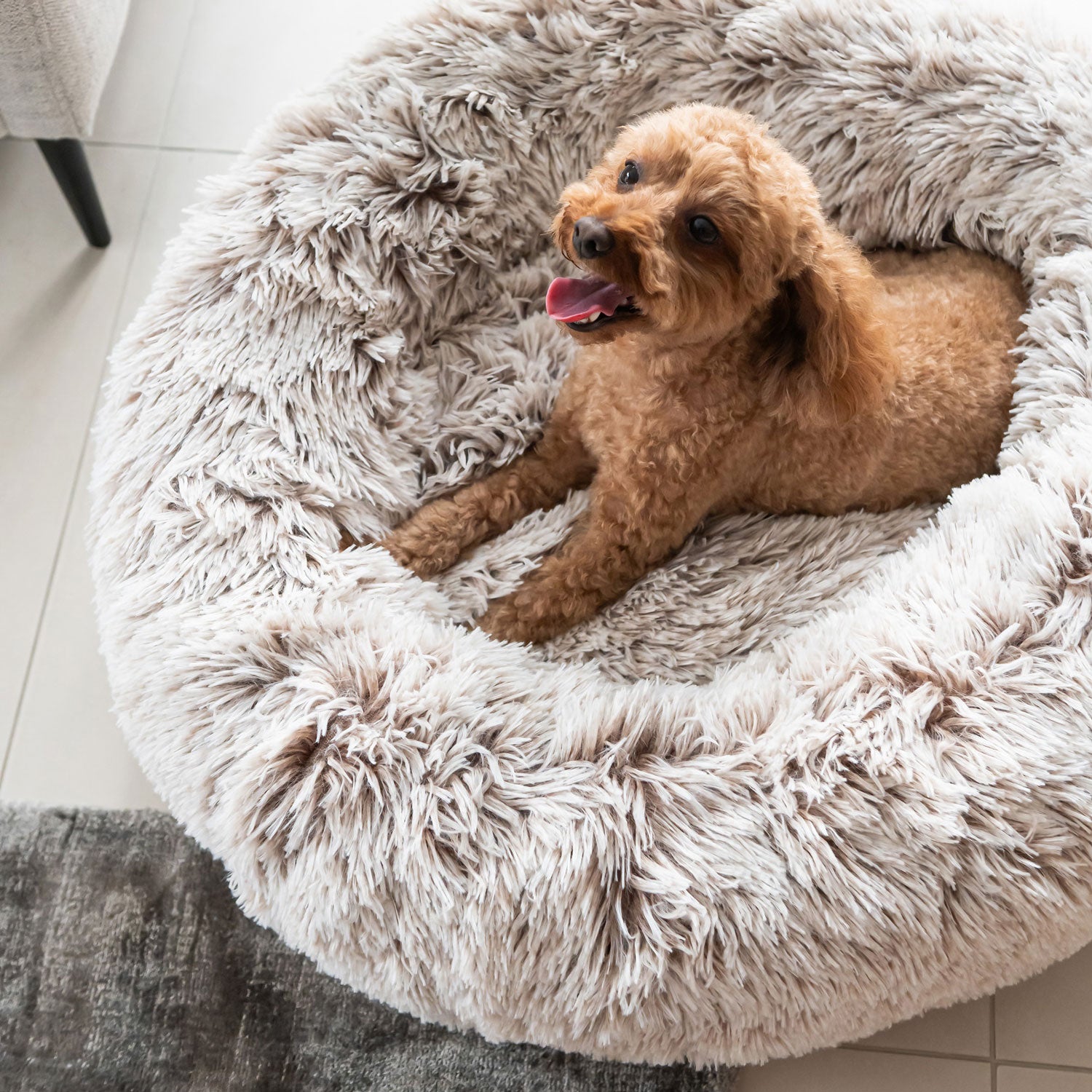 Dog curled up in a Superior Pet Goods Curl Up Cloud Calming Dog Bed in Sable
