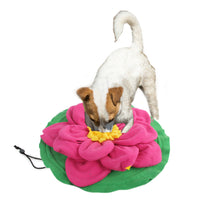 A white terrier nosing treats out of the All for Paws AFP Discovery Mats giant flower snuffle mat