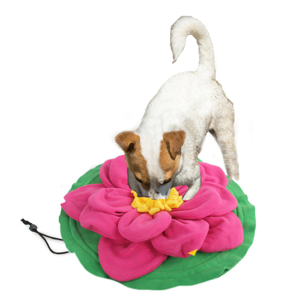 All for Paws AFP Dog Snuffle Giant Sunflower Mat - Green/Yellow