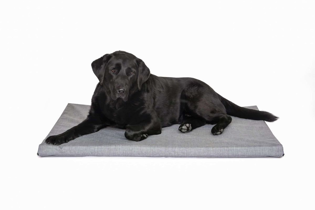 Black Labrador lying on a Superior Pet Goods Twilled Canvas Dog Mat