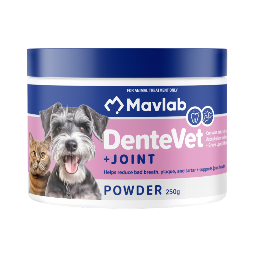 Mavlab DenteVet Plus Joint Powder 250g jar front of label